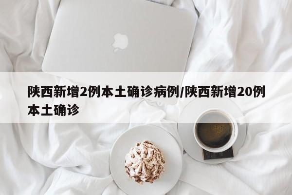 陕西新增2例本土确诊病例/陕西新增20例本土确诊