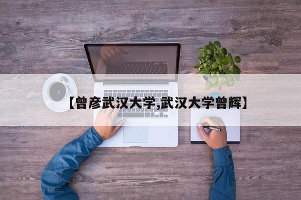 【曾彦武汉大学,武汉大学曾辉】