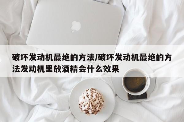 破坏发动机最绝的方法/破坏发动机最绝的方法发动机里放酒精会什么效果
