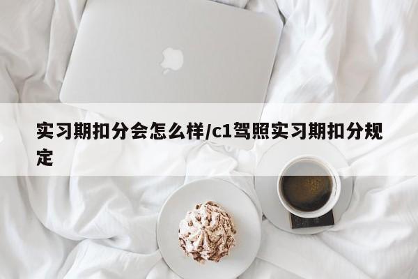 实习期扣分会怎么样/c1驾照实习期扣分规定