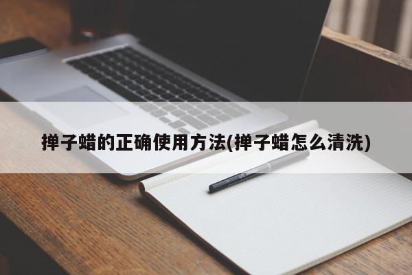 掸子蜡的正确使用方法(掸子蜡怎么清洗)