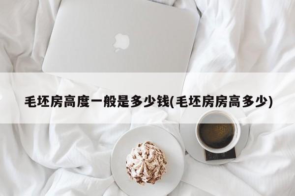 毛坯房高度一般是多少钱(毛坯房房高多少)