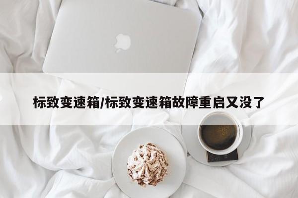 标致变速箱/标致变速箱故障重启又没了