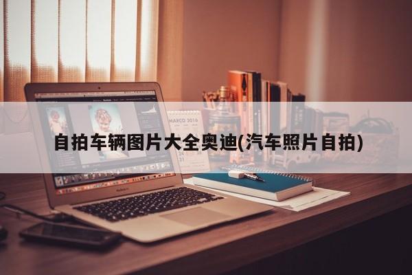 自拍车辆图片大全奥迪(汽车照片自拍)