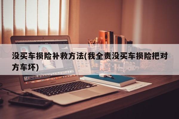 没买车损险补救方法(我全责没买车损险把对方车坏)