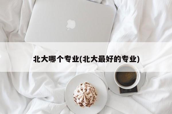 北大哪个专业(北大最好的专业)