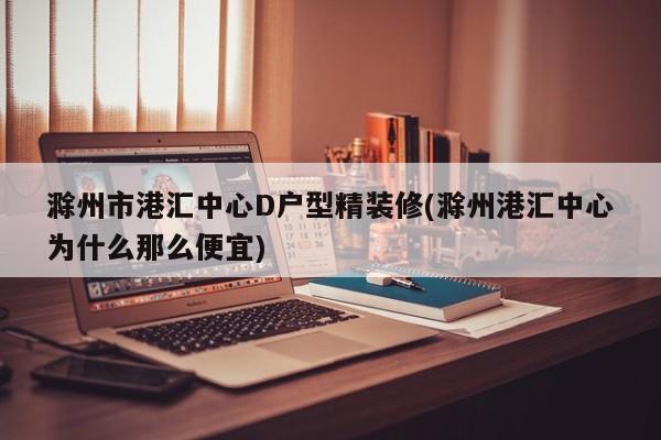 滁州市港汇中心D户型精装修(滁州港汇中心为什么那么便宜)