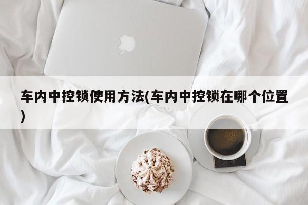 车内中控锁使用方法(车内中控锁在哪个位置)