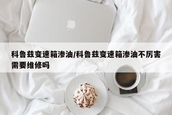 科鲁兹变速箱渗油/科鲁兹变速箱渗油不厉害需要维修吗