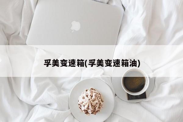 孚美变速箱(孚美变速箱油)