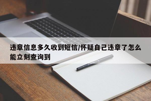 违章信息多久收到短信/怀疑自己违章了怎么能立刻查询到