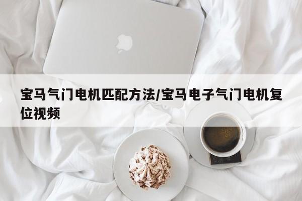 宝马气门电机匹配方法/宝马电子气门电机复位视频