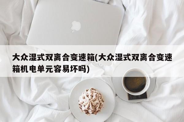 大众湿式双离合变速箱(大众湿式双离合变速箱机电单元容易坏吗)