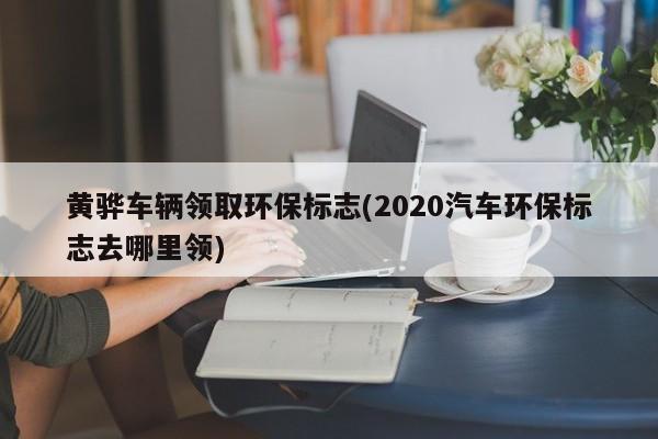 黄骅车辆领取环保标志(2020汽车环保标志去哪里领)