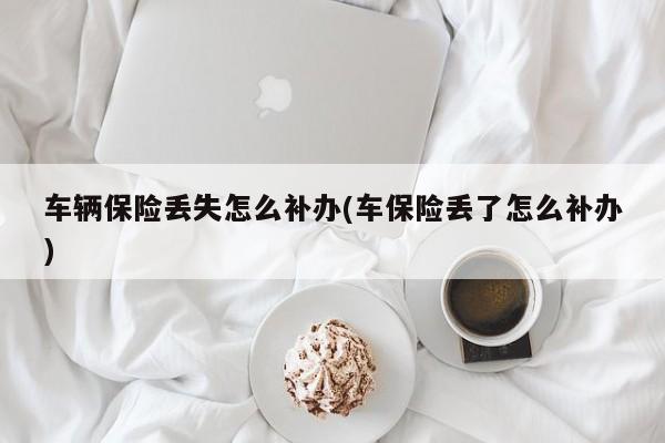 车辆保险丢失怎么补办(车保险丢了怎么补办)