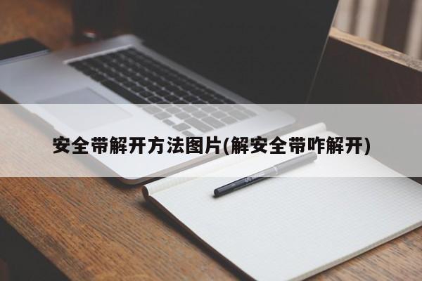 安全带解开方法图片(解安全带咋解开)